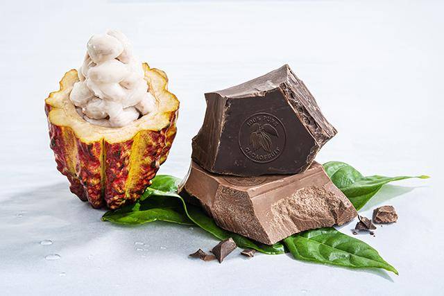 Whole-Fruit Chocolate: Revolutionizing Healthy and Sustainable Treats